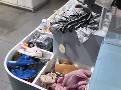 -PET WISH宠物愿望(BFC外滩金融中心店)