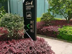 -七彩阳光游泳俱乐部(江北远洲店)