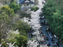 -南京城墙景区