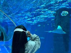 -波塞冬旅游度假区