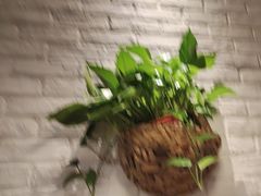 -7017浙菜•建德味(市心北路店)