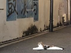 -猫岛主趣味餐厅(鼓浪屿店)