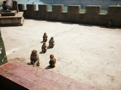 -白帝城·瞿塘峡景区