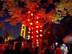 -七彩云南欢乐世界