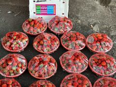 -江杨农产品批发市场