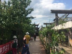 -呀路古热带植物园