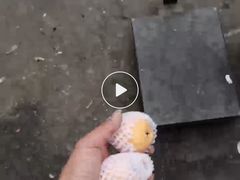 -城南综合水果批发市场(花园路店)