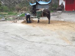 -余姚市灵岩禅寺