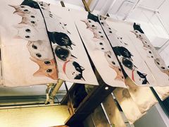 -吉丁鸟咖·异宠·寄养