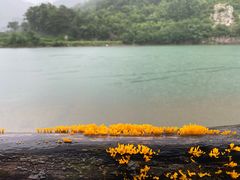 -大连天门山国家森林公园