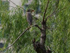 -苏州河梦清园环保主题公园