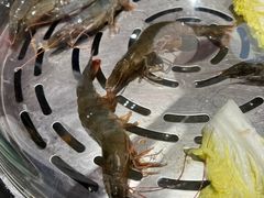 -日进一片海.生腌海鲜火锅.宵夜烧烤(三里屯总店)