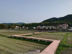 -红山村
