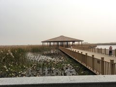 -白洋淀景区