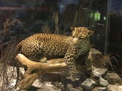 -陕西自然博物馆