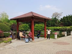 -嘉定紫藤园