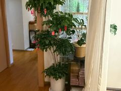 -沐森 •疗愈头疗馆(打浦桥店)
