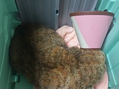 -动物缘宠物医院·骨科·猫科(西二环店)