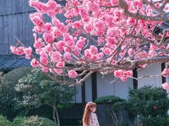 -醍醐寺
