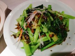 -真定郝家排骨(正定县总店)