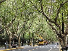 -一尺花园(安和花园店)