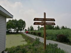 -大莲湖农家乐(青西郊野公园店)