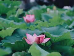 -光明港公园