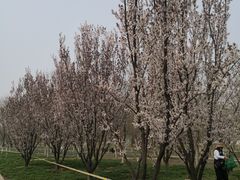 -槐房钓鱼公园