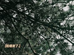 -黛秀湖公园