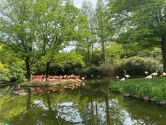 -上海野生动物园