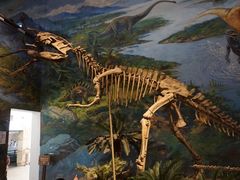-自贡恐龙博物馆