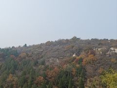 -白水寺森林公园