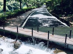-长谷洞天