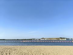 -呼兰河口湿地公园