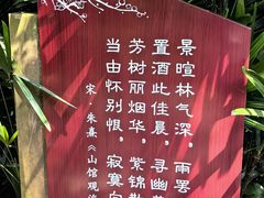 -棠湖公园
