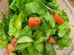 阿拉伯沙拉ArabicSalad-BRBR叙利亚餐厅(总店)