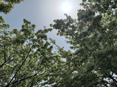 -泰丰公园