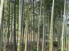 -黄公望隐居地
