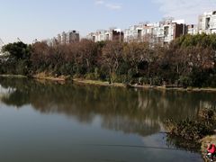 -新江湾城公园