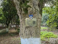 -张坝桂圆林公园