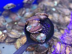 -澜悦港海鲜体验主题餐厅