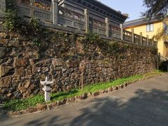 -平湖九龙山旅游度假区