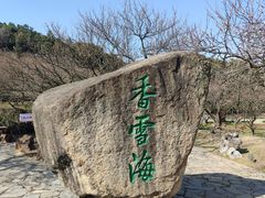 -香雪海