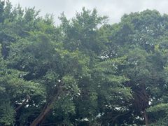 -闽粤南澳总镇府