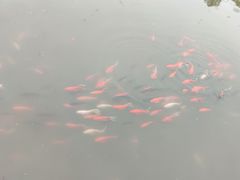 -阿育王寺素斋馆