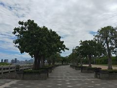 -万绿园