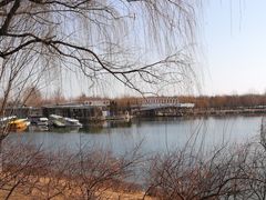 -大兴滨河森林公园