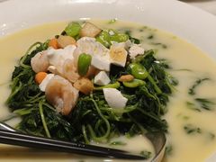 上汤苋菜-淮扬府(安定门店)