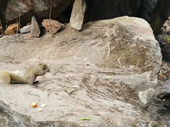 -香格里拉大峡谷巴拉格宗国家级风景名胜区丽江中旅旅游质量服务点