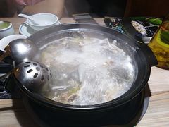 -探窝·竹笙椰子鸡(杨箕店)